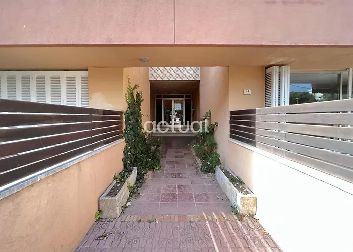 Mandarina 1 2 Platja d'Aro